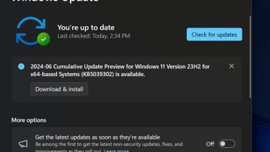 Microsoft Temukan Masalah Baru di Pembaruan Windows 11 KB5039302, Tunda Update Anda
