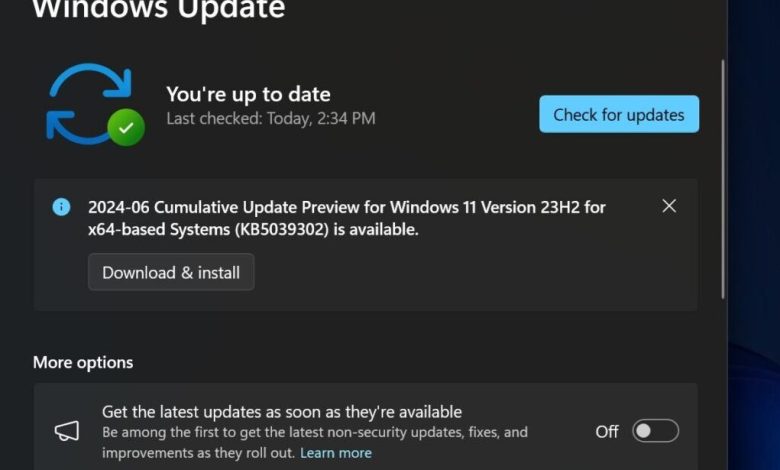 Microsoft Temukan Masalah Baru di Pembaruan Windows 11 KB5039302, Tunda Update Anda