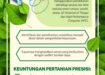 inovasi agritech di Indonesia: Menyongsong Masa Depan Pertanian