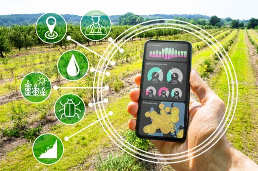 inovasi dalam smart agriculture: Kecerdasan Buatan dan Analisis Data
