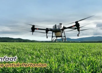 Manfaat Utama Teknologi Drone untuk Pertanian