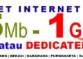 panduan memilih paket data internet seluler yang tepat untuk kebutuhan Anda