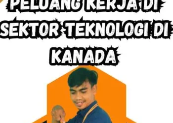 peluang kerja di bidang teknologi: sektor yang paling cepat tumbuh