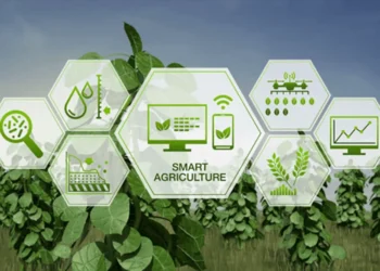 Startup agritech yang mengubah pertanian: Mengapa kini menjadi primadona?