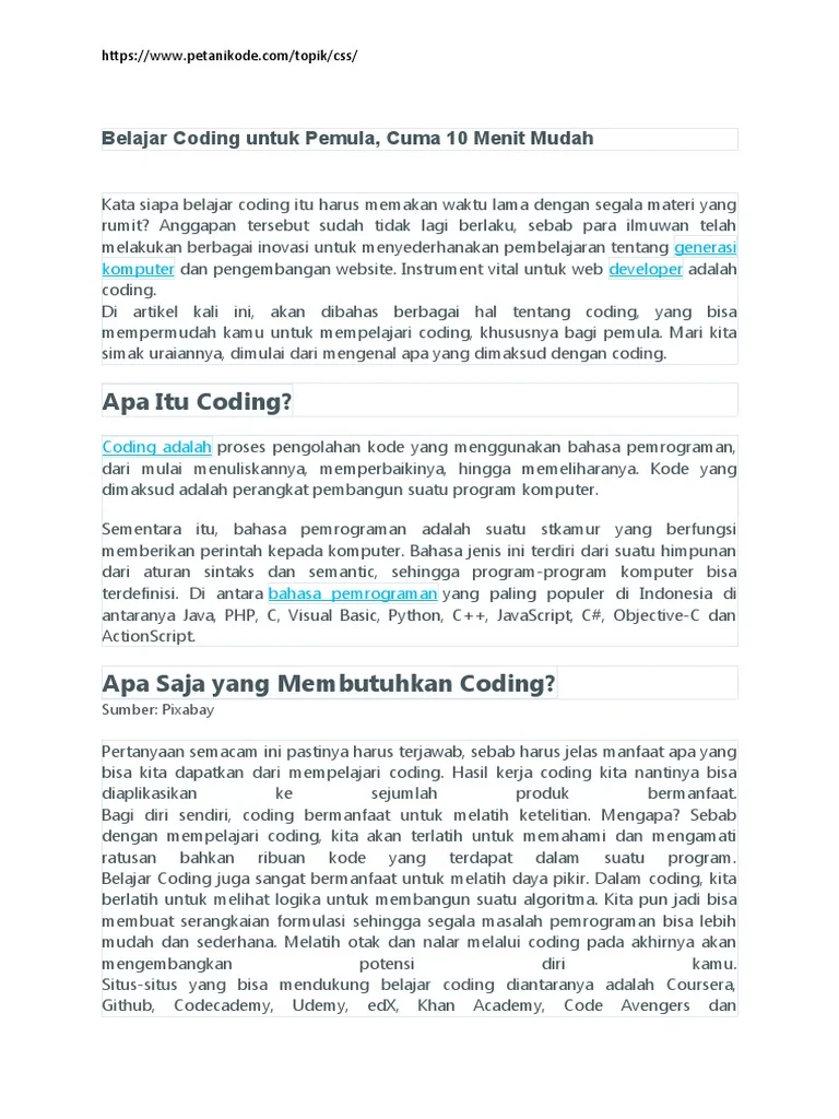 tutorial coding untuk pemula: Menulis Program Pertama